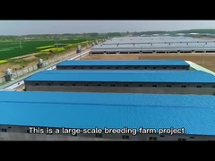 Steel Structure magazijn